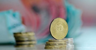 Presión fiscal y subsidios Presión fiscal y subsidios