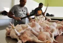 Pollo, cerdo y huevos podrían subir de precio por alza del dólar