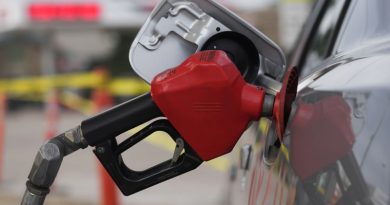 Gobierno congela el precio de los principales combustibles