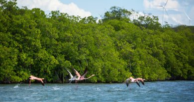 Una semana especial para promover los servicios ecosistémicos de las reservas de biosfera dominicanas