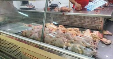 Las importaciones de pollo aumentan 45 % a septiembre, ante una mayor oferta en Estados Unidos Las importaciones de pollo aumentan 45 % a septiembre, ante una mayor oferta en Estados Unidos